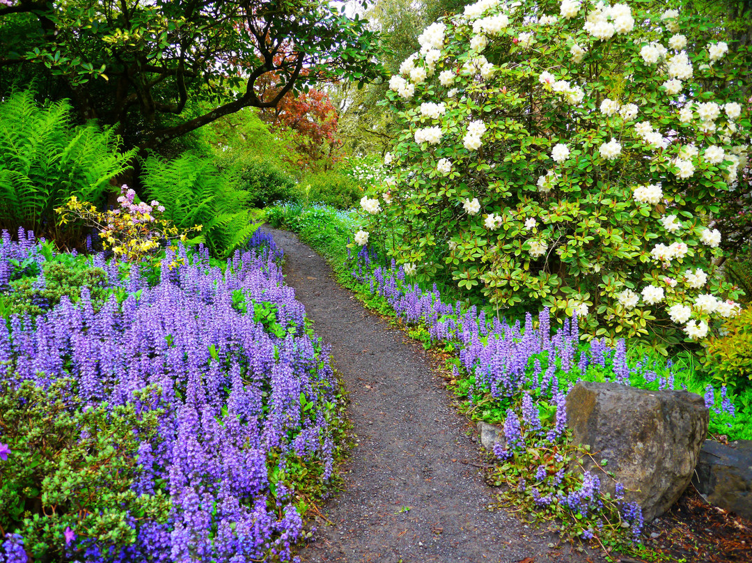 Hendricks Park-尤金必去景点