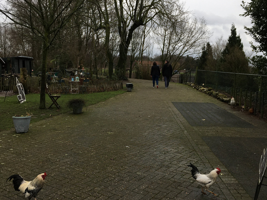 Theeschenkerij Hof van Schoor