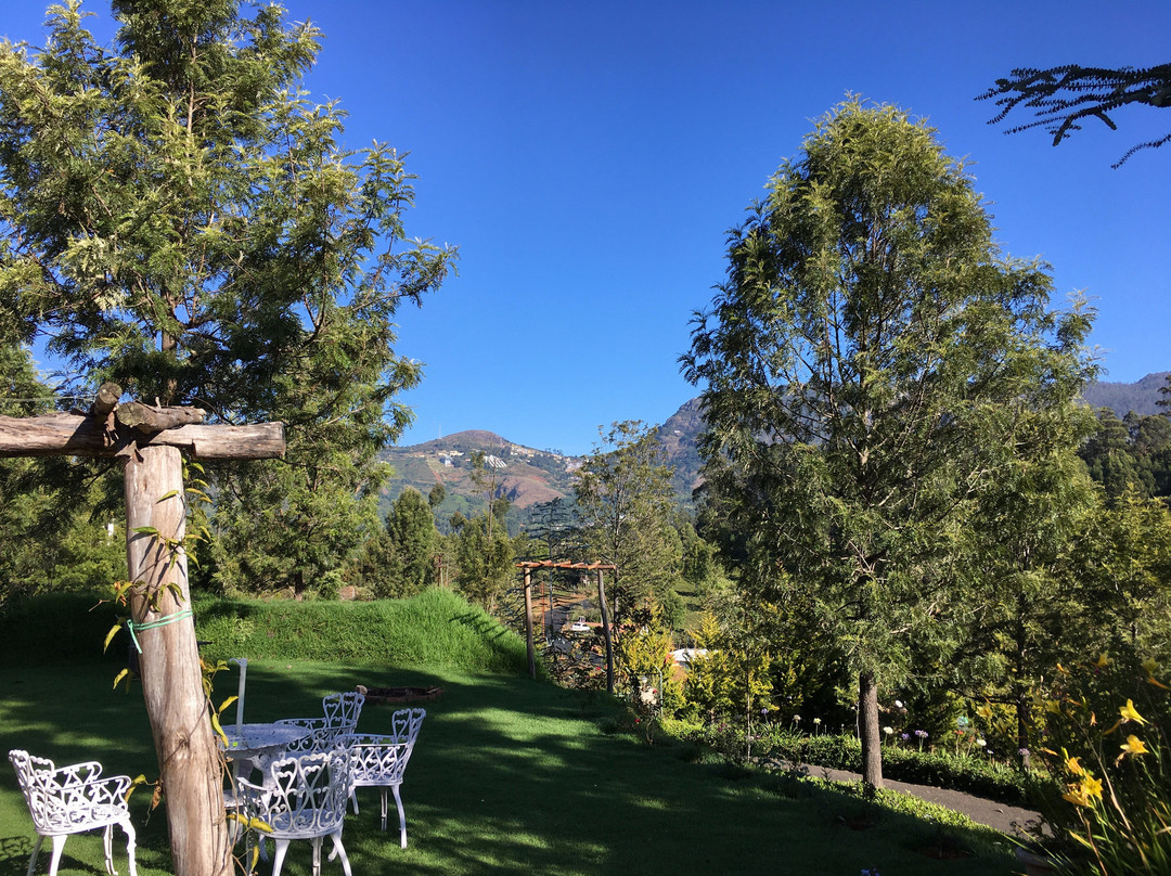 The Clive & Curzon主图