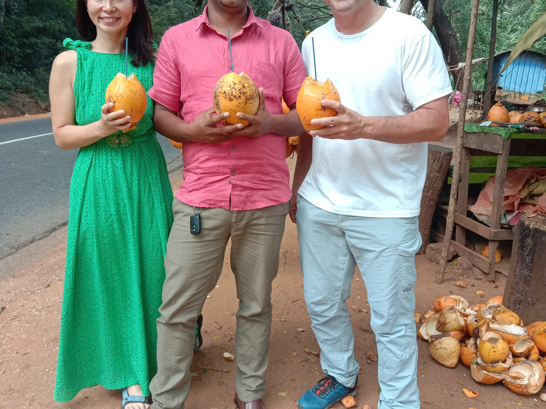 Dambulla Taxi-丹布拉必去景点