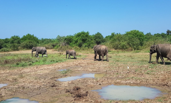 Booking Ceylon (PVT) Ltd-班托塔必去景点