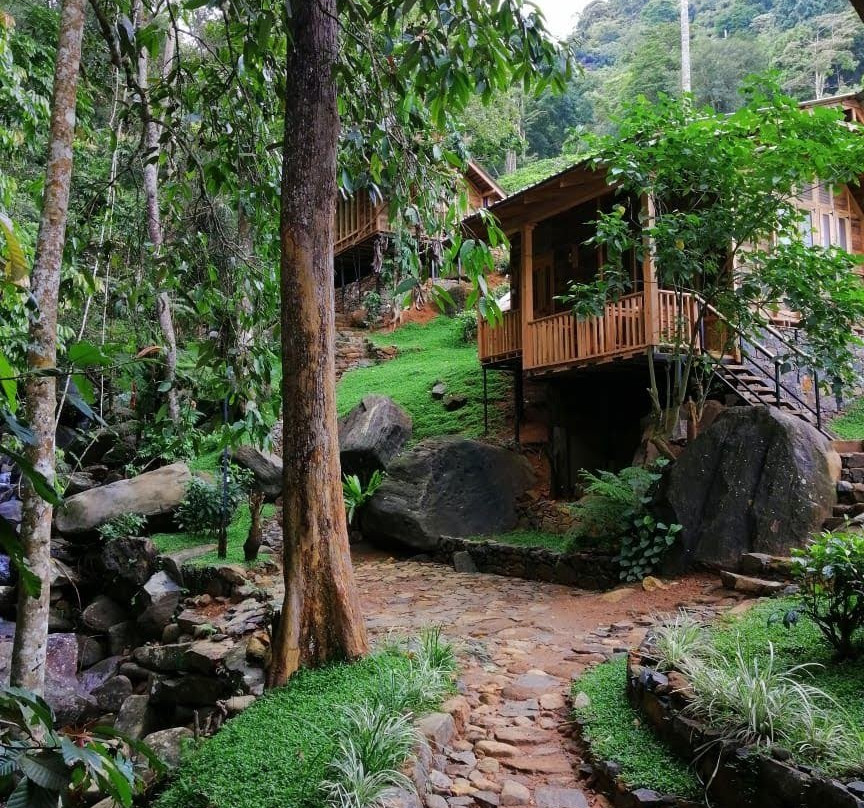 The Line A Mindful Retreat主图