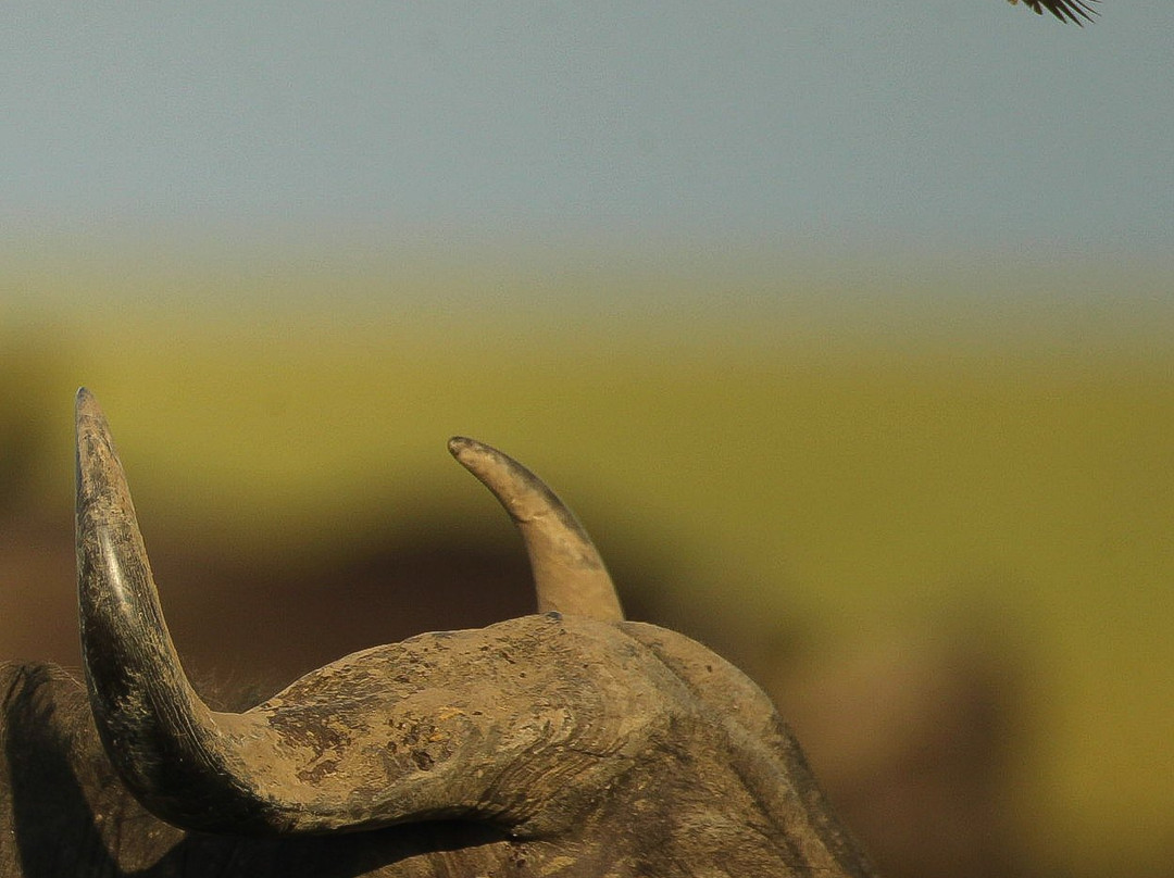 Maasai Mara National Reserve-纳罗克必去景点