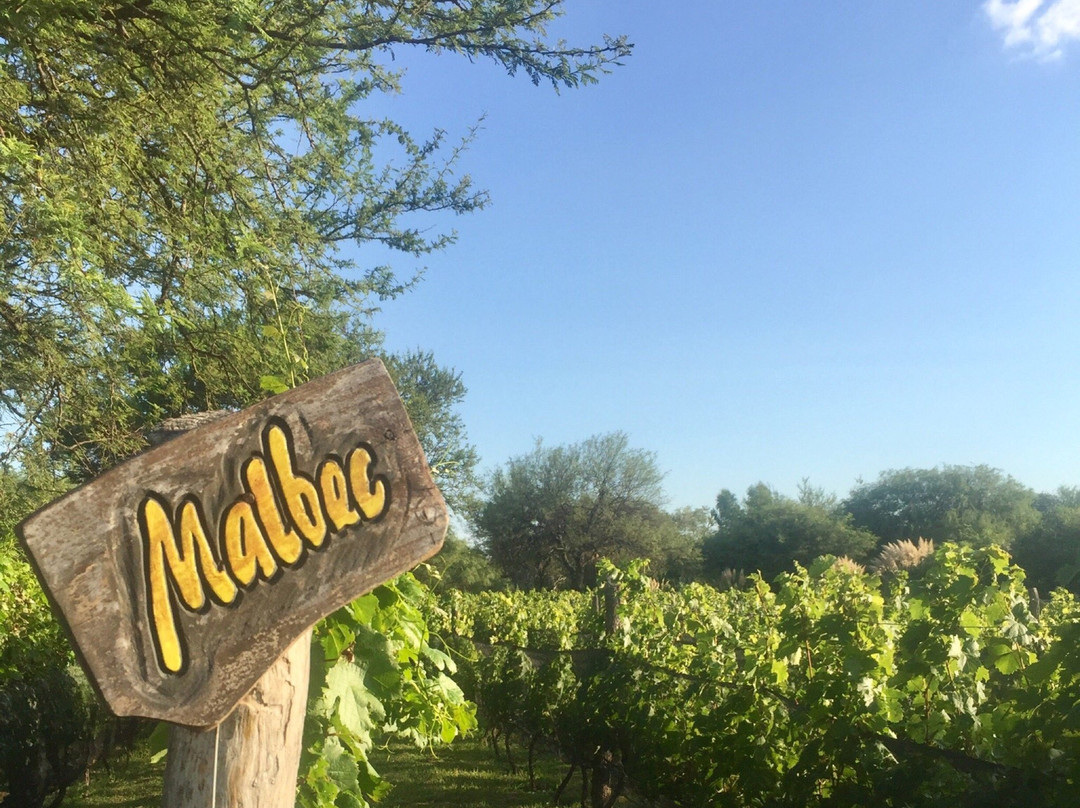 Vinedo Fraterno-梅洛必去景点