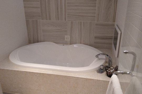 大森西洋馆古典酒店主图