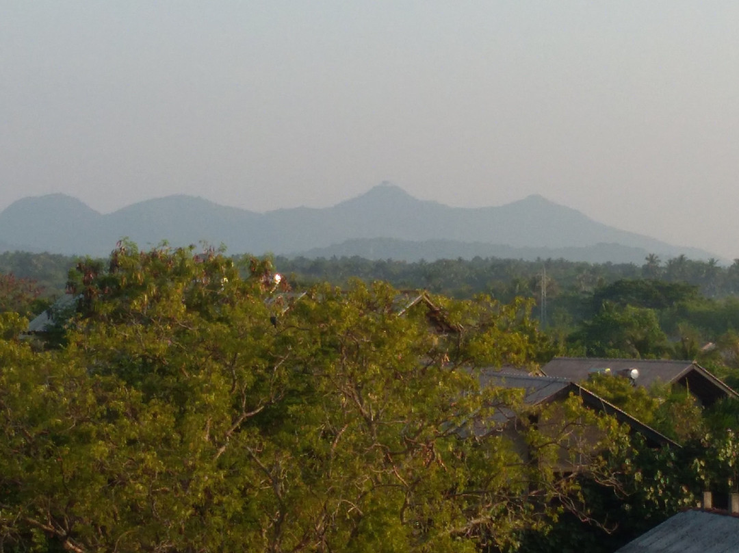 Blue Sky Hotel Yala主图