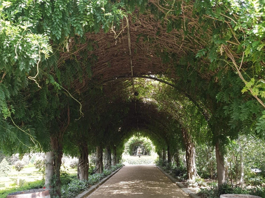 Alowyn Gardens-亚拉格林必去景点