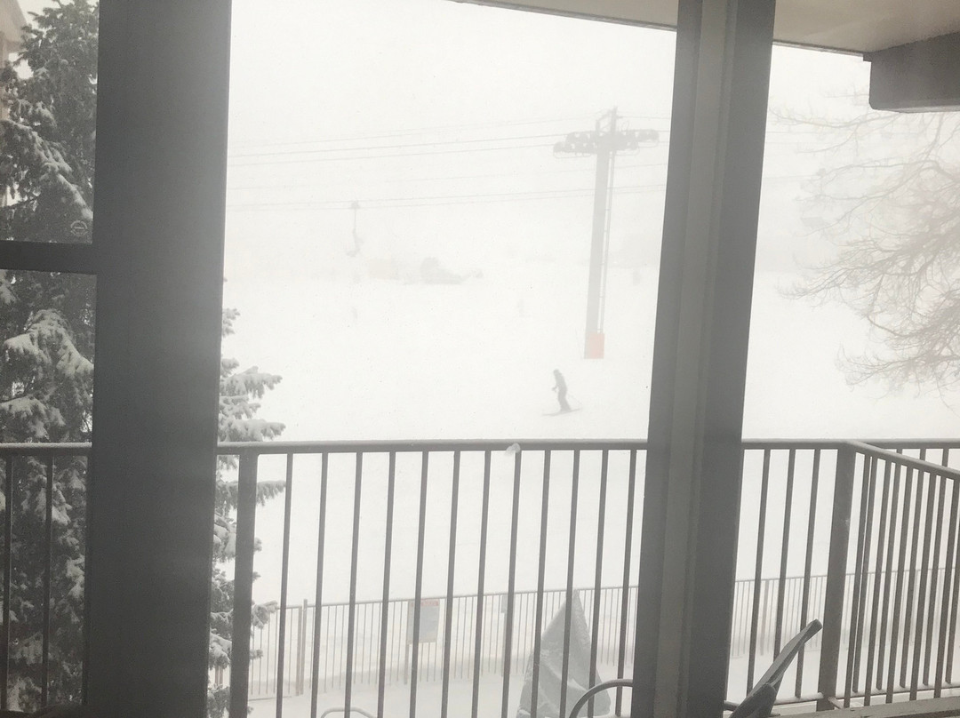 Mountain Chalet Snowmass主图