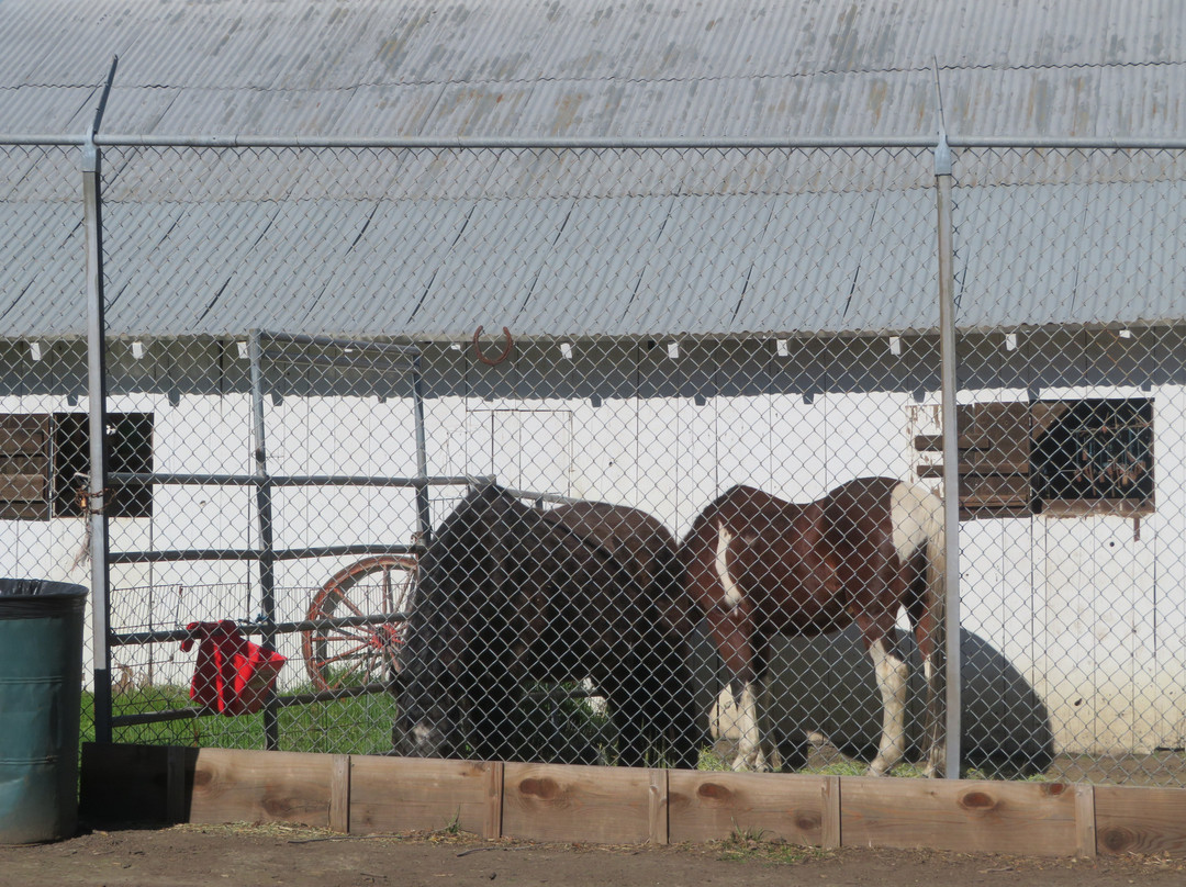 Forest Home Farms Historic Park-圣拉蒙必去景点