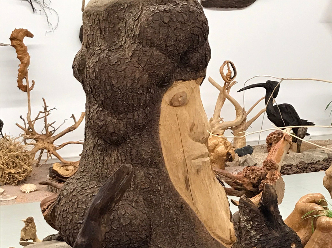 Musée des Mille et Une Racines景点图片