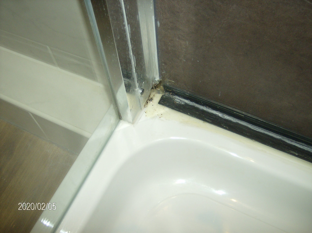 The Golden Lion Hotel主图
