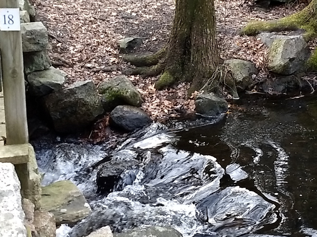 Mass Audubon Stony Brook Wildlife Sanctuary-Norfolk必去景点