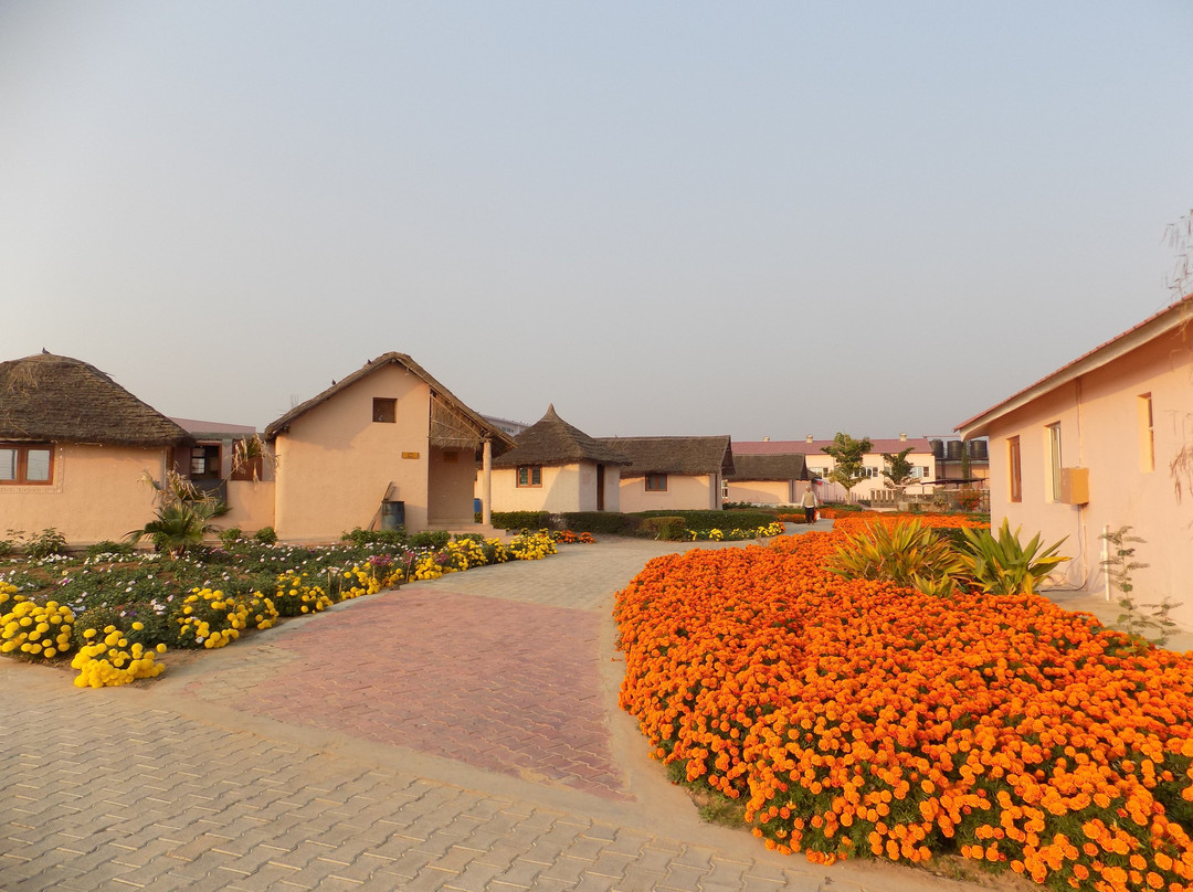 Patanjali Yogpeeth-哈里瓦必去景点