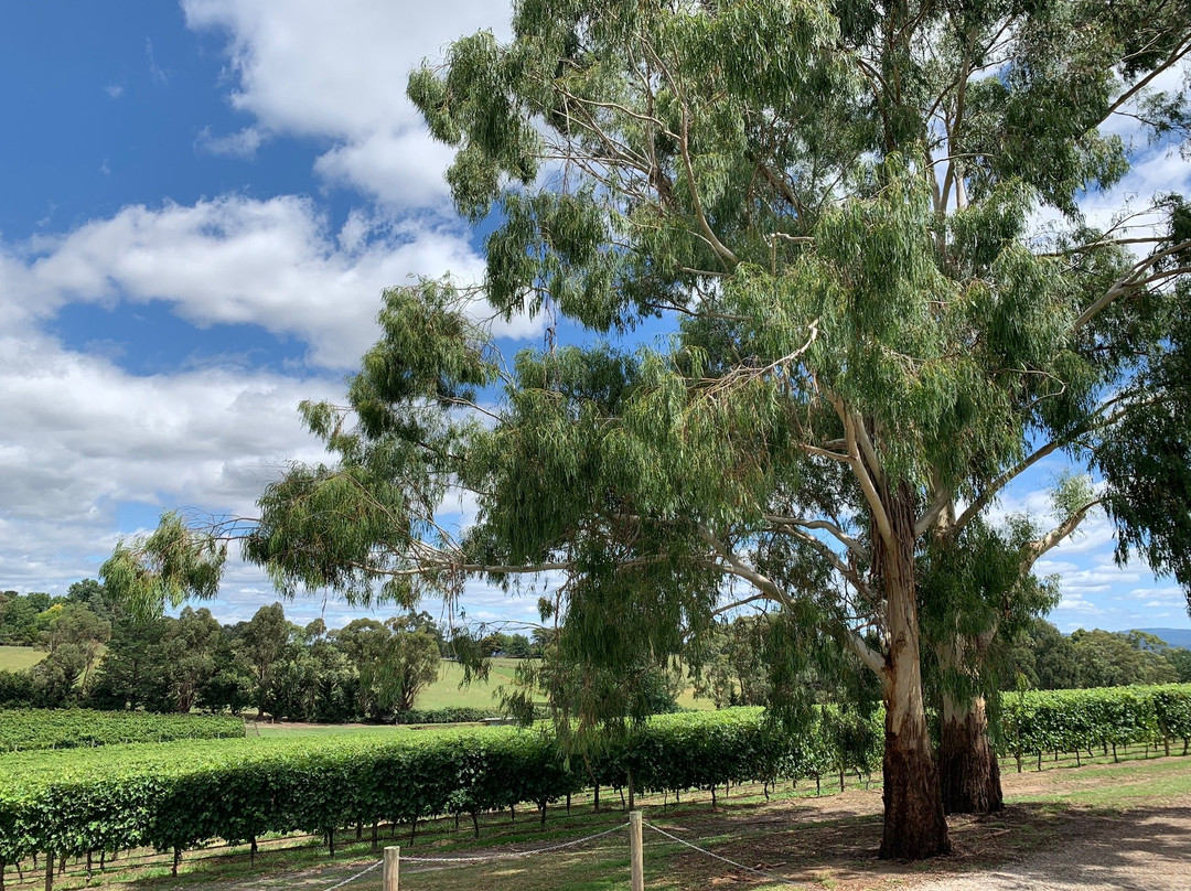 Soumah-Gruyere必去景点