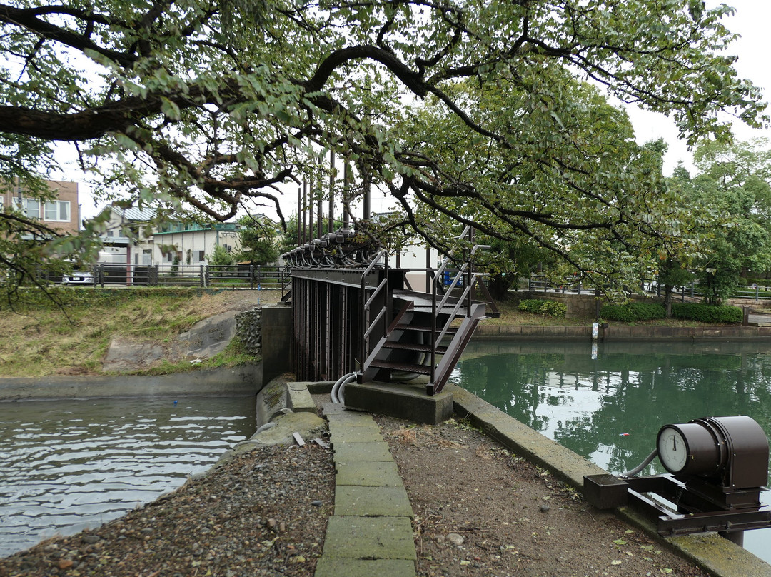 Nakajima Komon景点图片