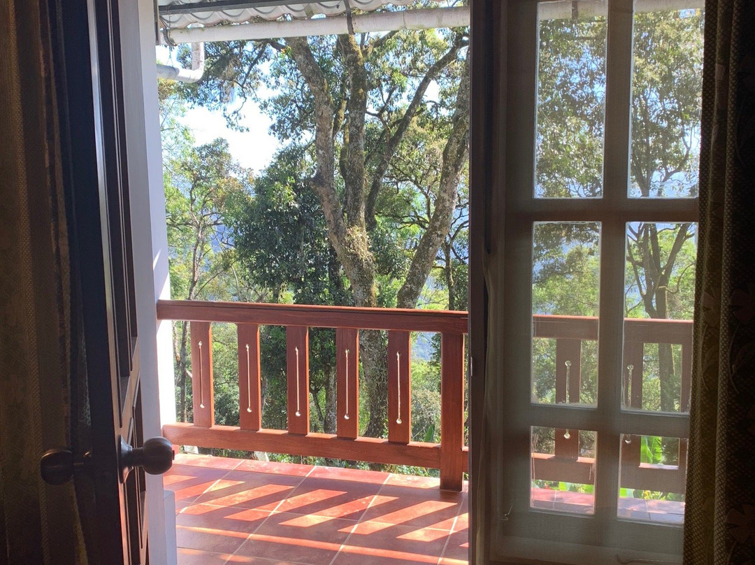 Munnar Black Forest Resort主图