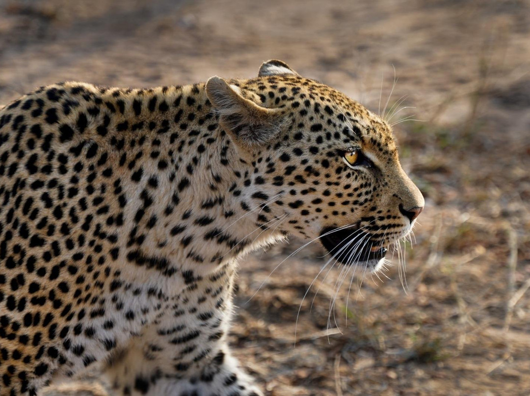 Albatros Travel-Century City必去景点