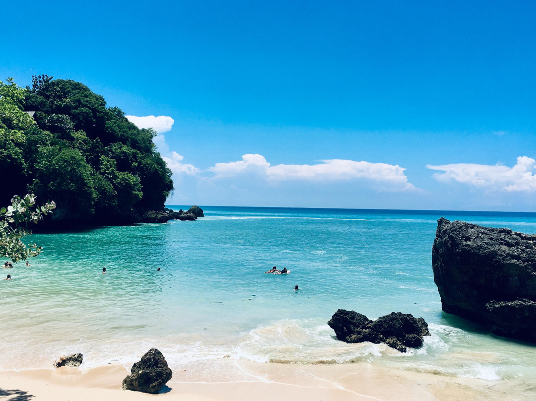 Kowi Bali Tour-登巴萨必去景点