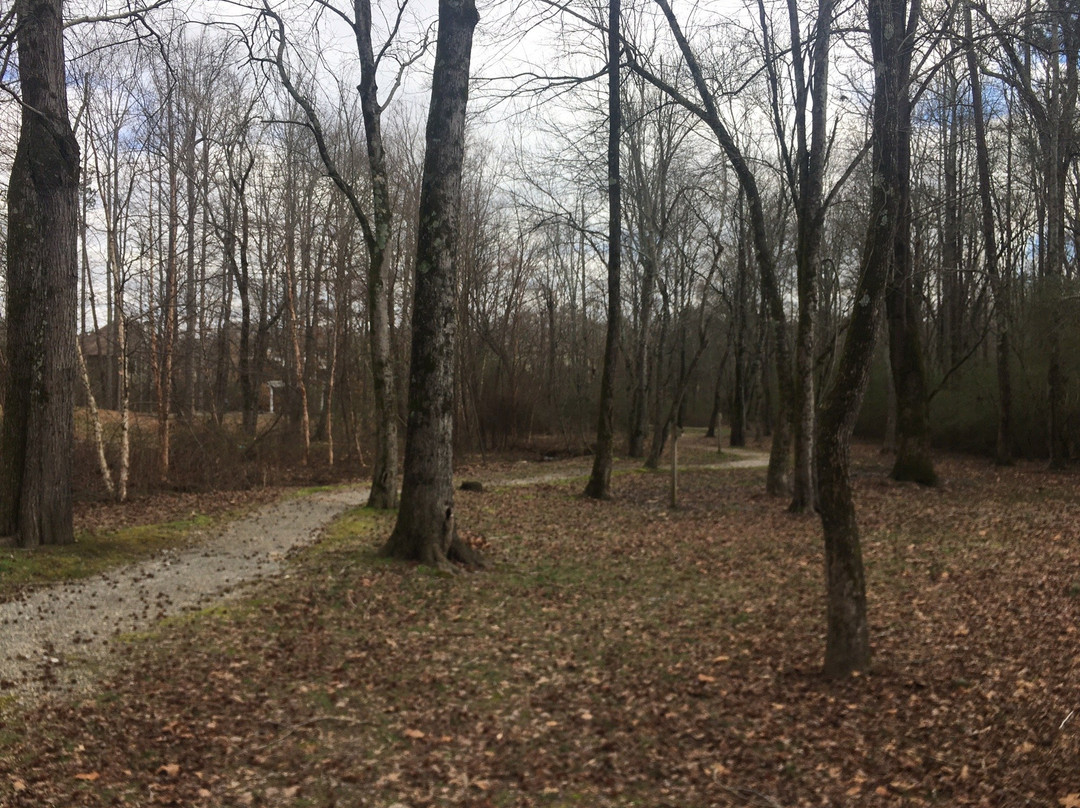 Midway Park-卡明必去景点