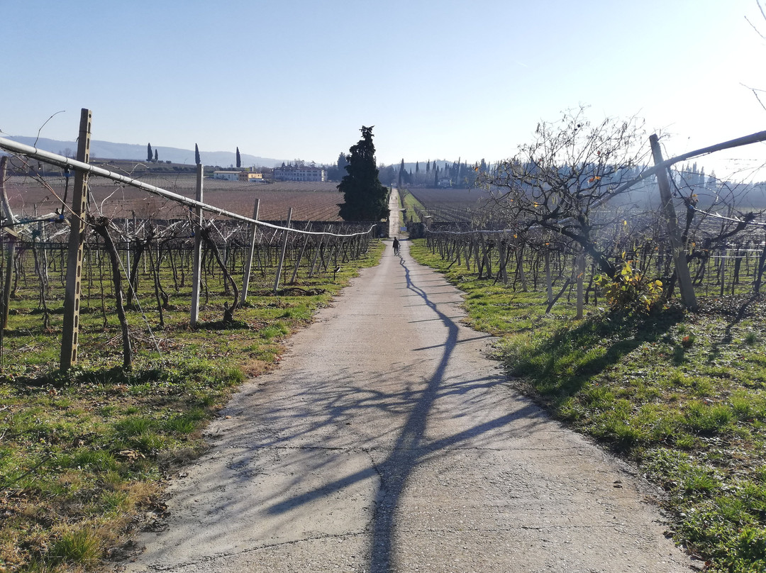 Agriturismo El Crear主图