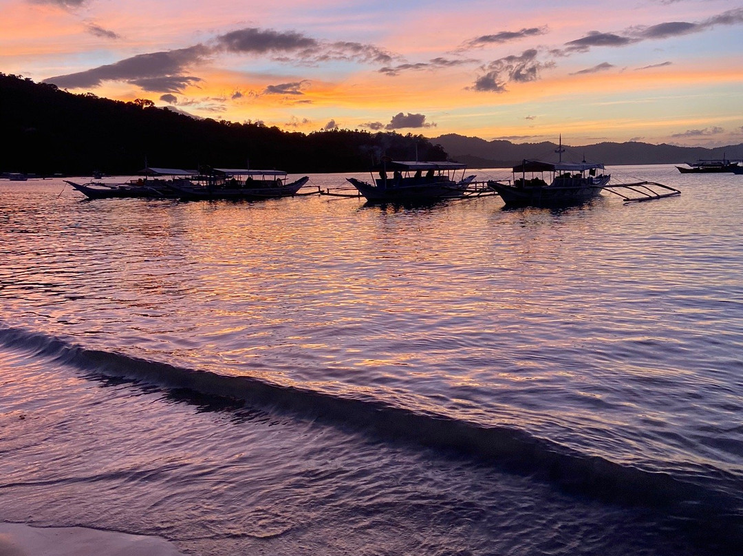 Back Trippers Inn主图