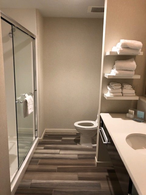 Hampton Inn & Suites Charlotte Ballantyne-浴室