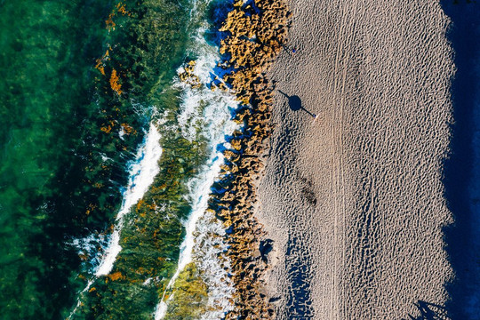 Blueline Surf & Paddle Co.-朱庇特必去景点