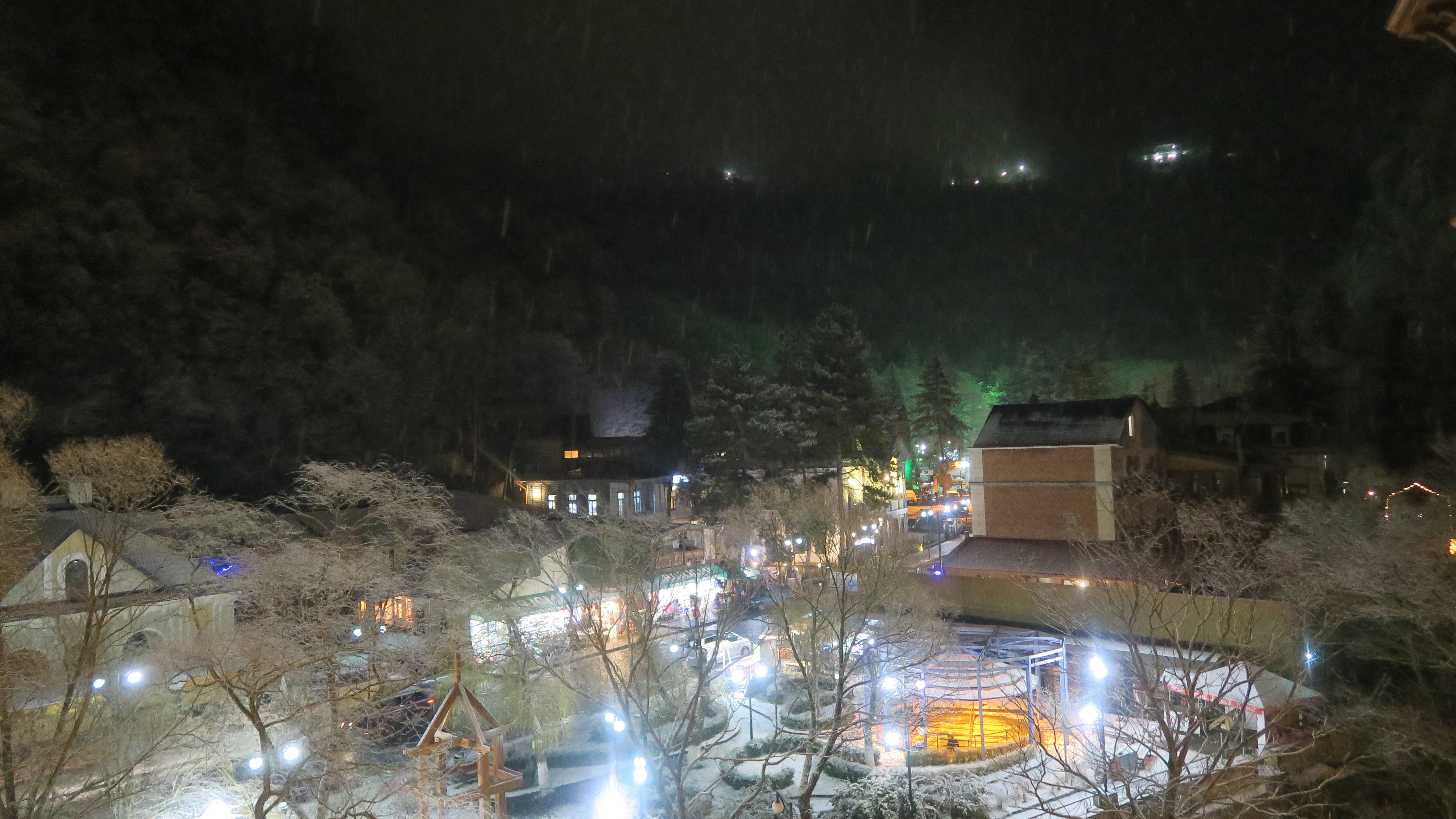 Crowne Plaza Borjomi By IHG-酒店景观