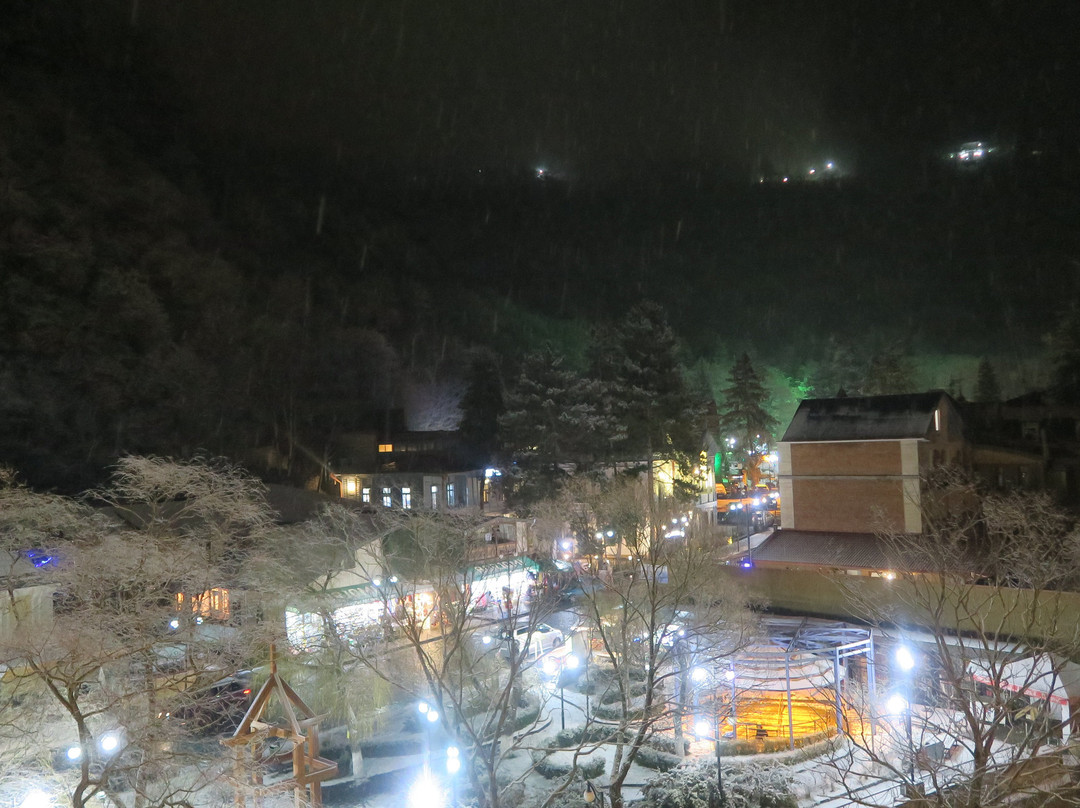 Crowne Plaza Borjomi By IHG主图