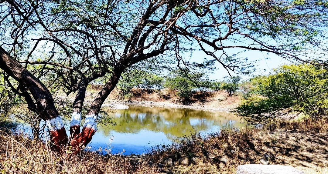Adinath Mandir Jain Temple-Jamnagar必去景点