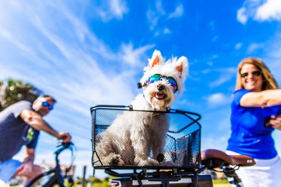 Big Bam eBikes-威尼斯必去景点