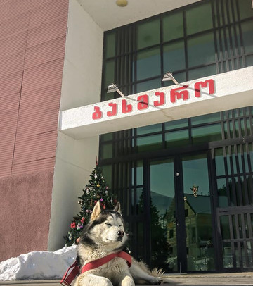 Hotel Bakhmaro主图