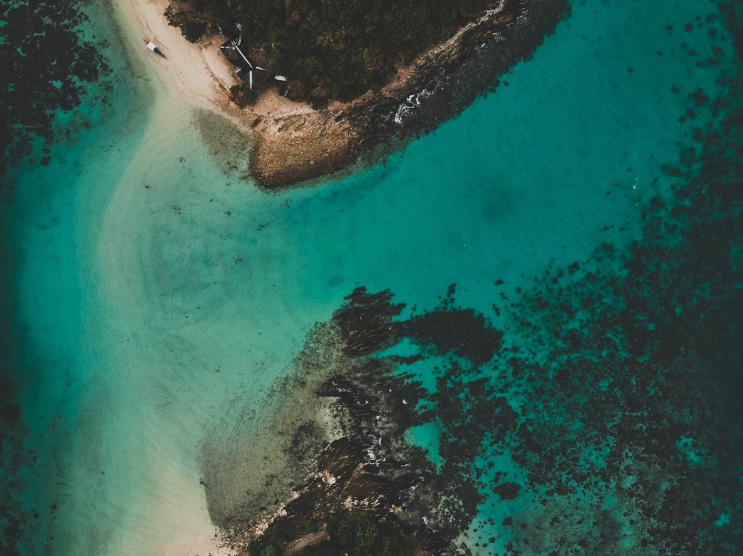 Exotic Island景点图片