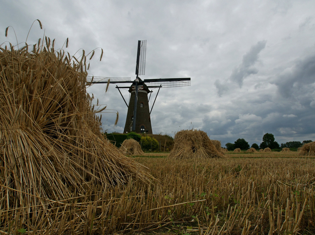 Windkorenmolen De Roosdonck景点图片