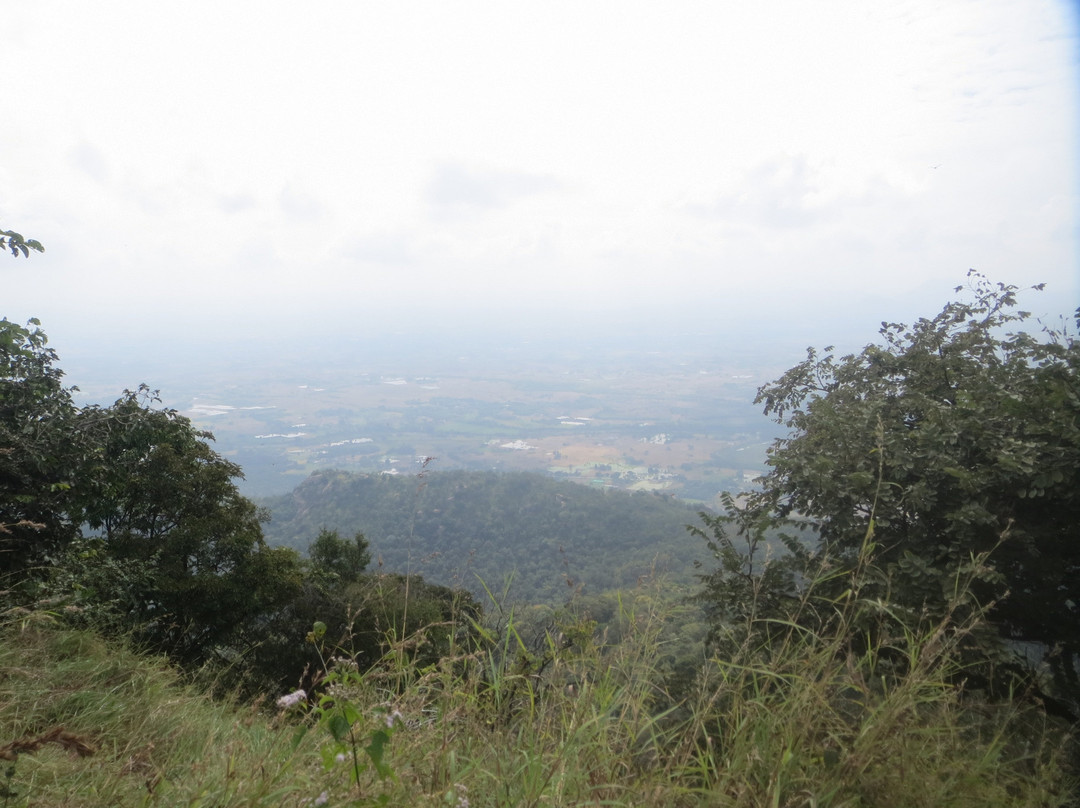 Parvathamalai Hills景点图片