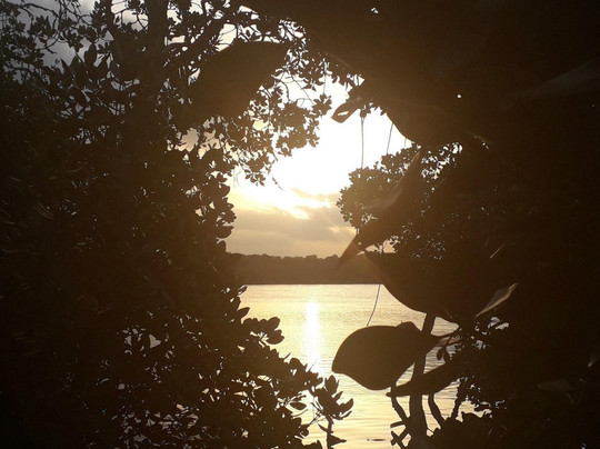 SAFARI KENYA CON ZENZERO - DAY TOURS-瓦塔木必去景点