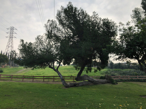 Edison Trails Park-蒙特利公园必去景点