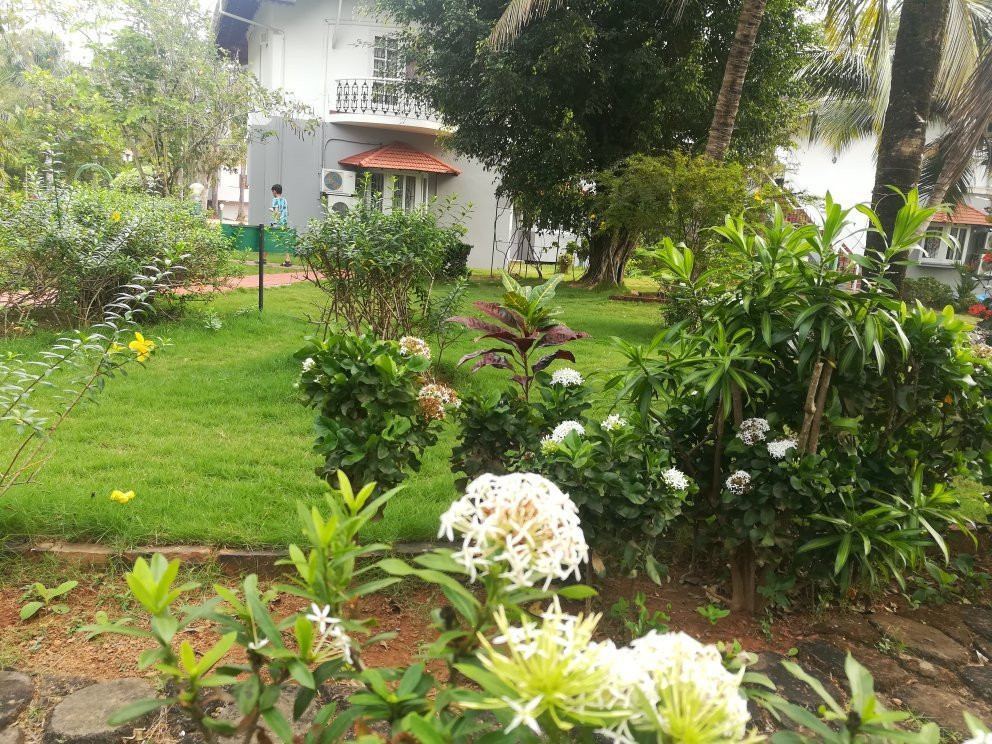 Kairali Heritage主图