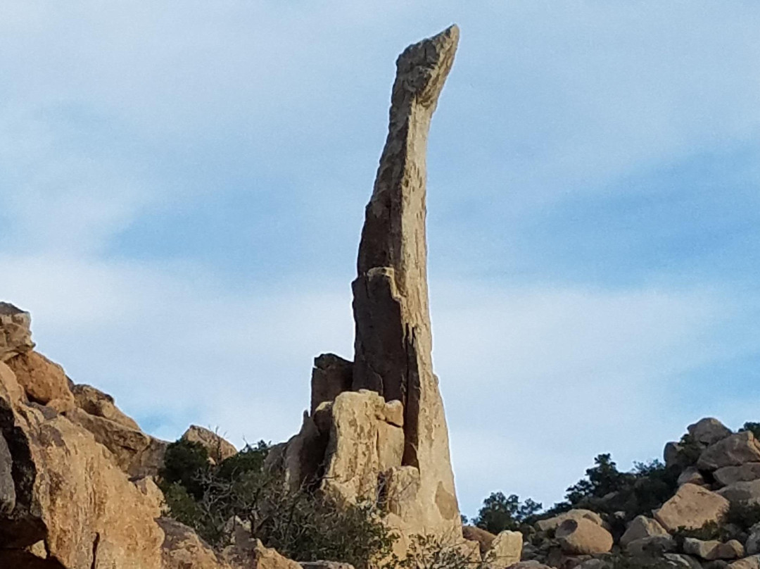 Ground Up Climbing Guides-约书亚树必去景点