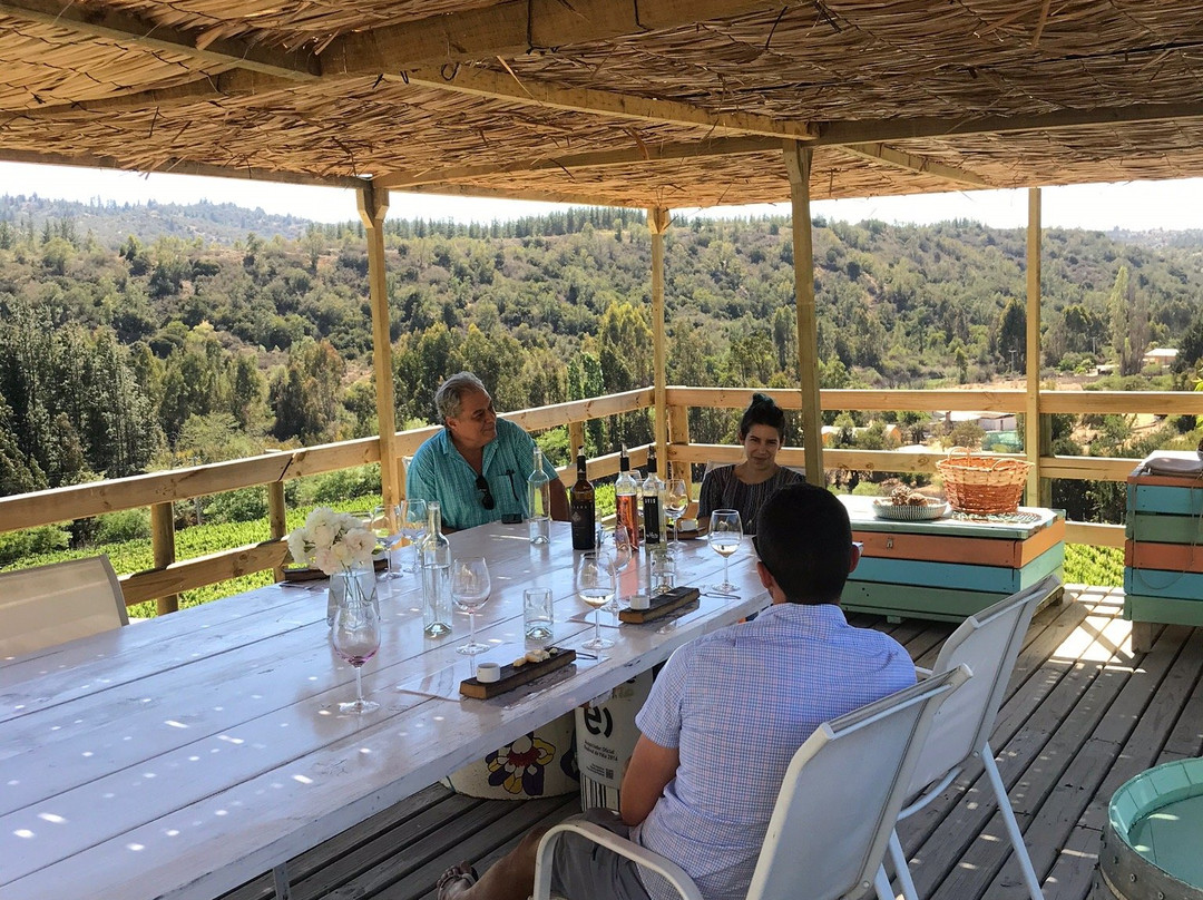 La Recova Wines-卡萨布兰卡必去景点