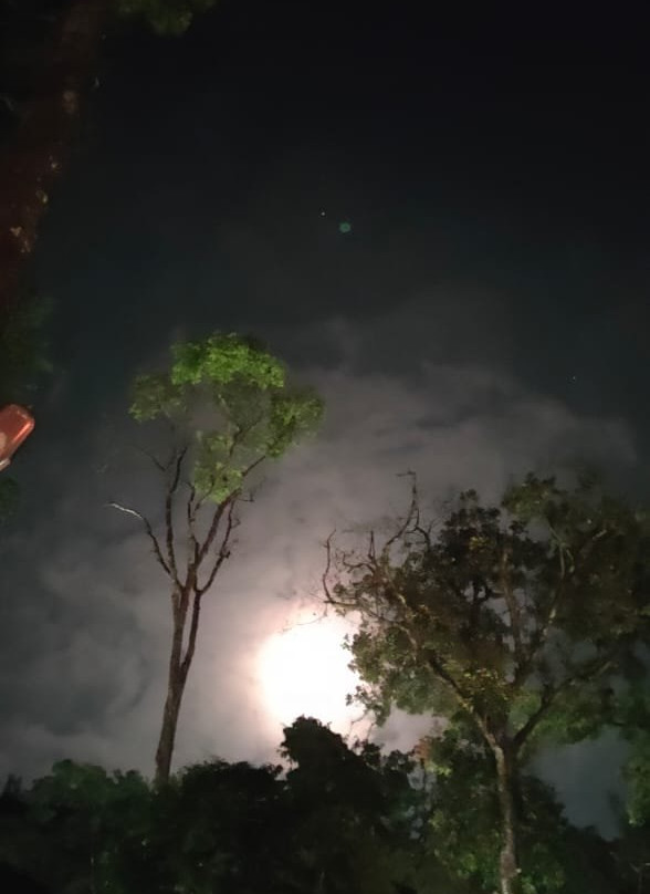 Seven Springs Plantation Resort主图