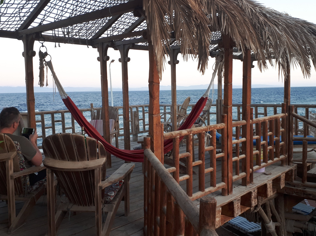 INMO Divers Home主图