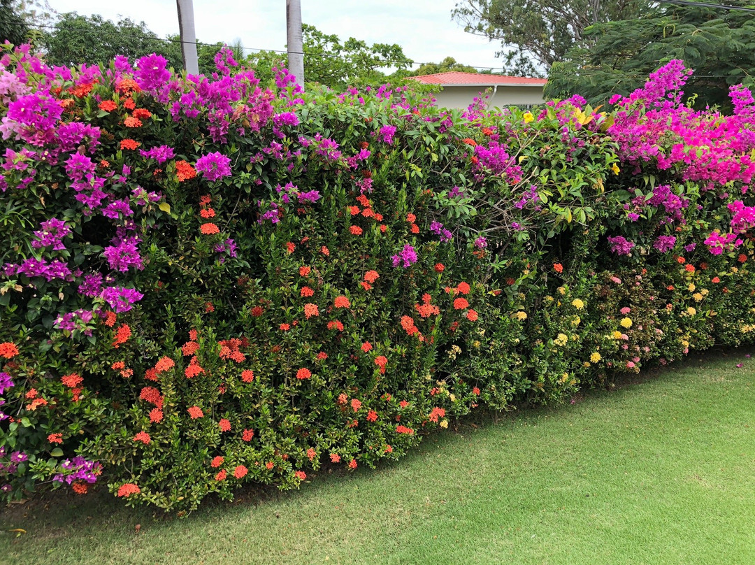 Casa de Los Suenos Bed and Breakfast主图