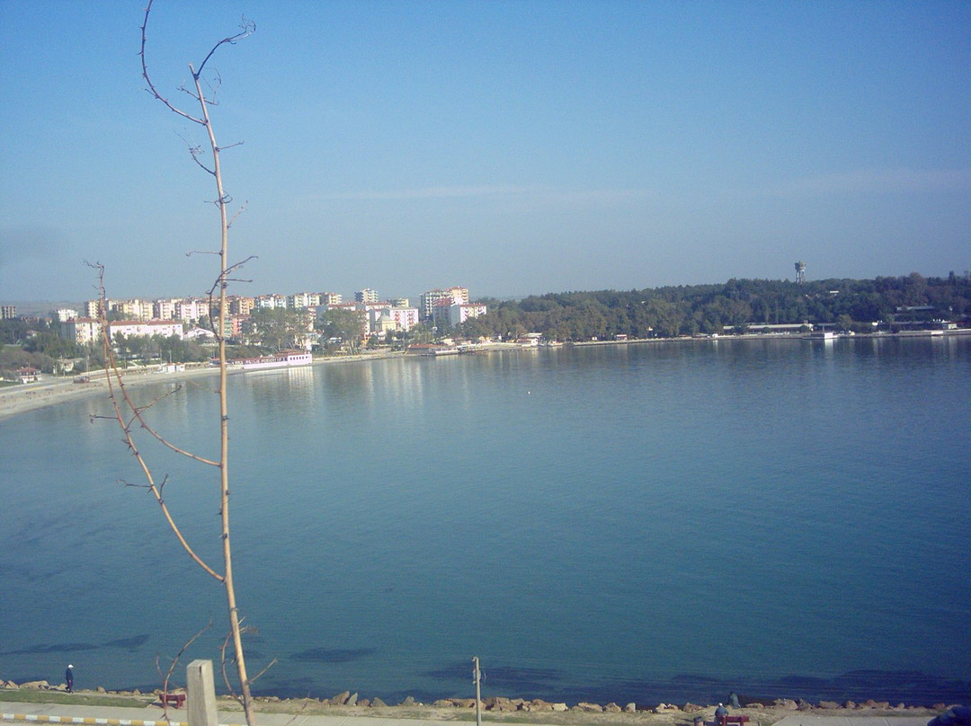 Hamzakoy Plaji景点图片
