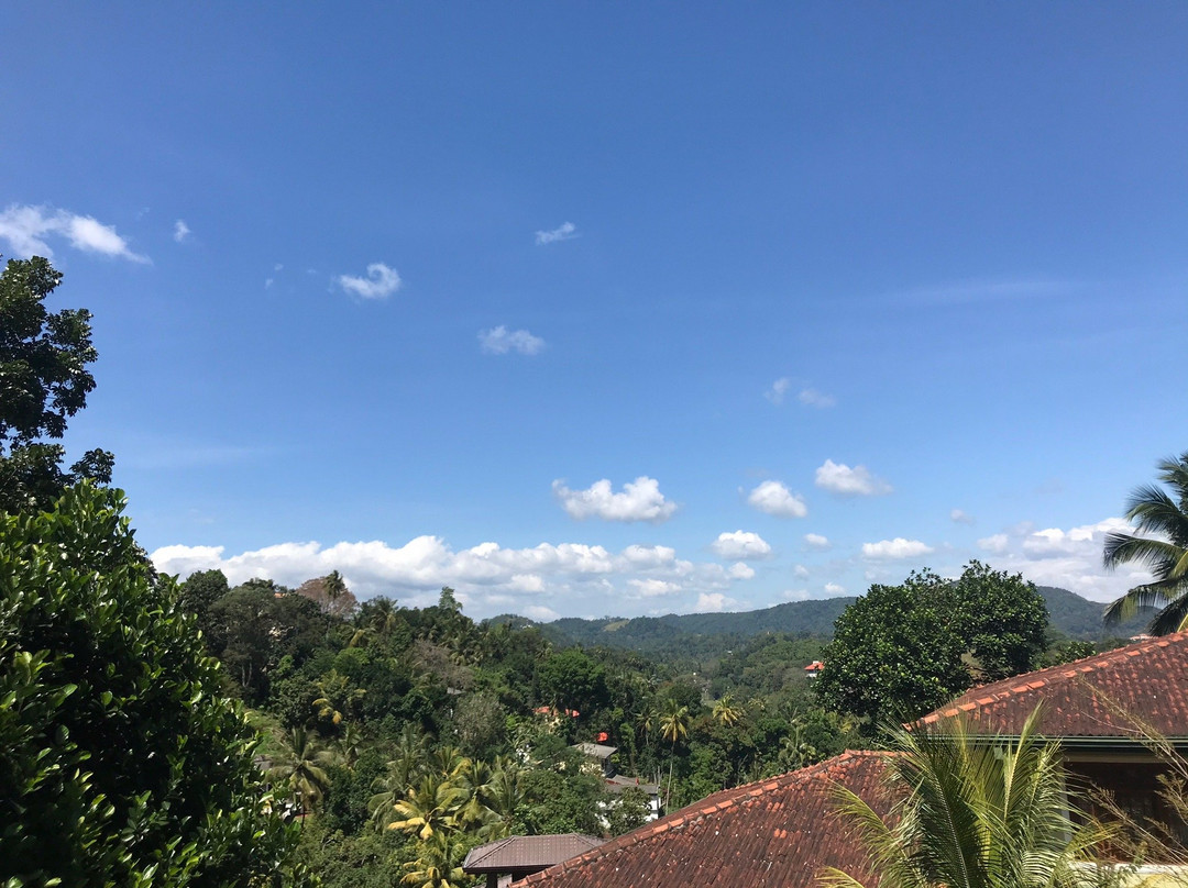 Pinnacle Of Everything主图