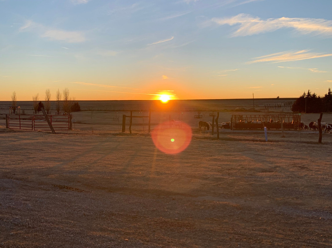 Shiloh Vineyard-WaKeeney必去景点