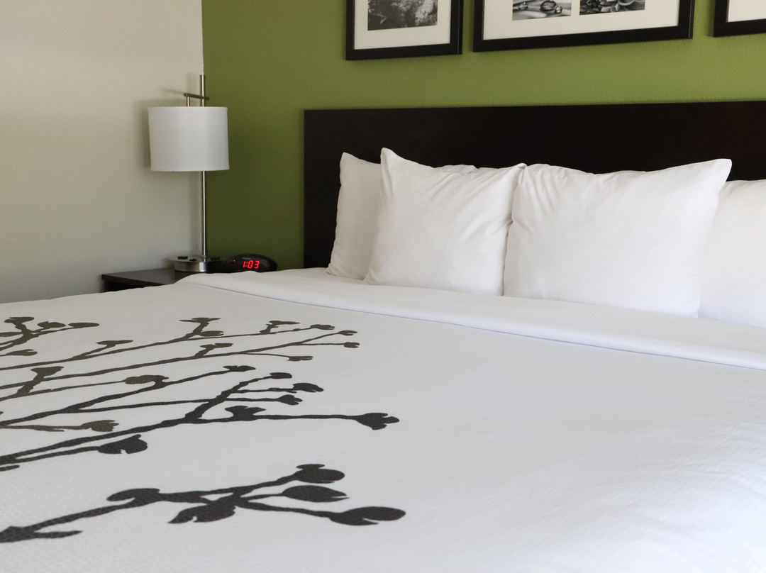 Sleep Inn Ellenboro Hwy 50主图