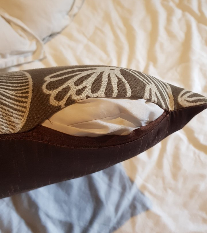 The Oriental Leyte主图