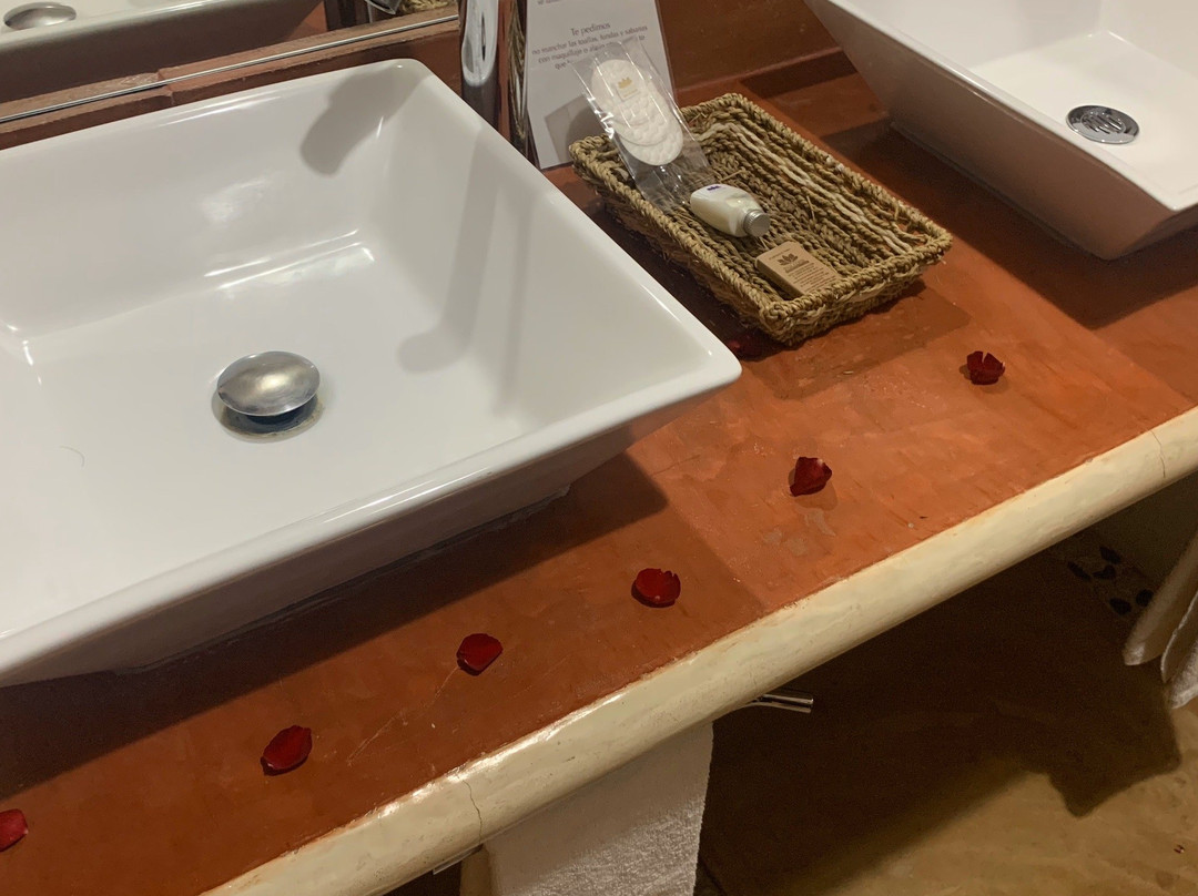 Hotel Paradise Boutique & Lounge主图