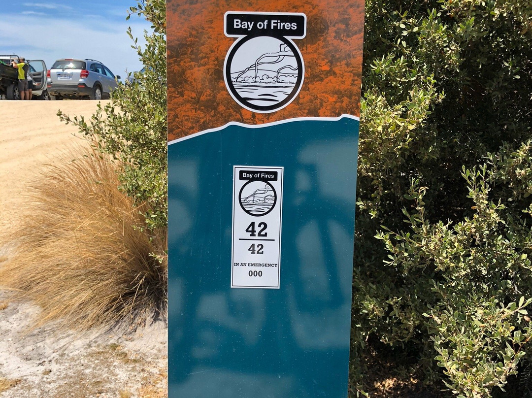 Blue Derby Mountain Bike Trails景点图片